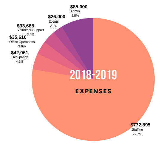 Expenses Graphic 2018-2019