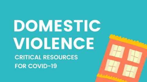 image of house and text says "domestic violence critical resources for COVID19"