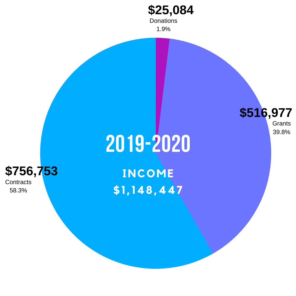 2019-20 Income Graphic