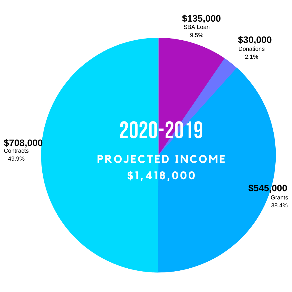 Projected Income 2020-21