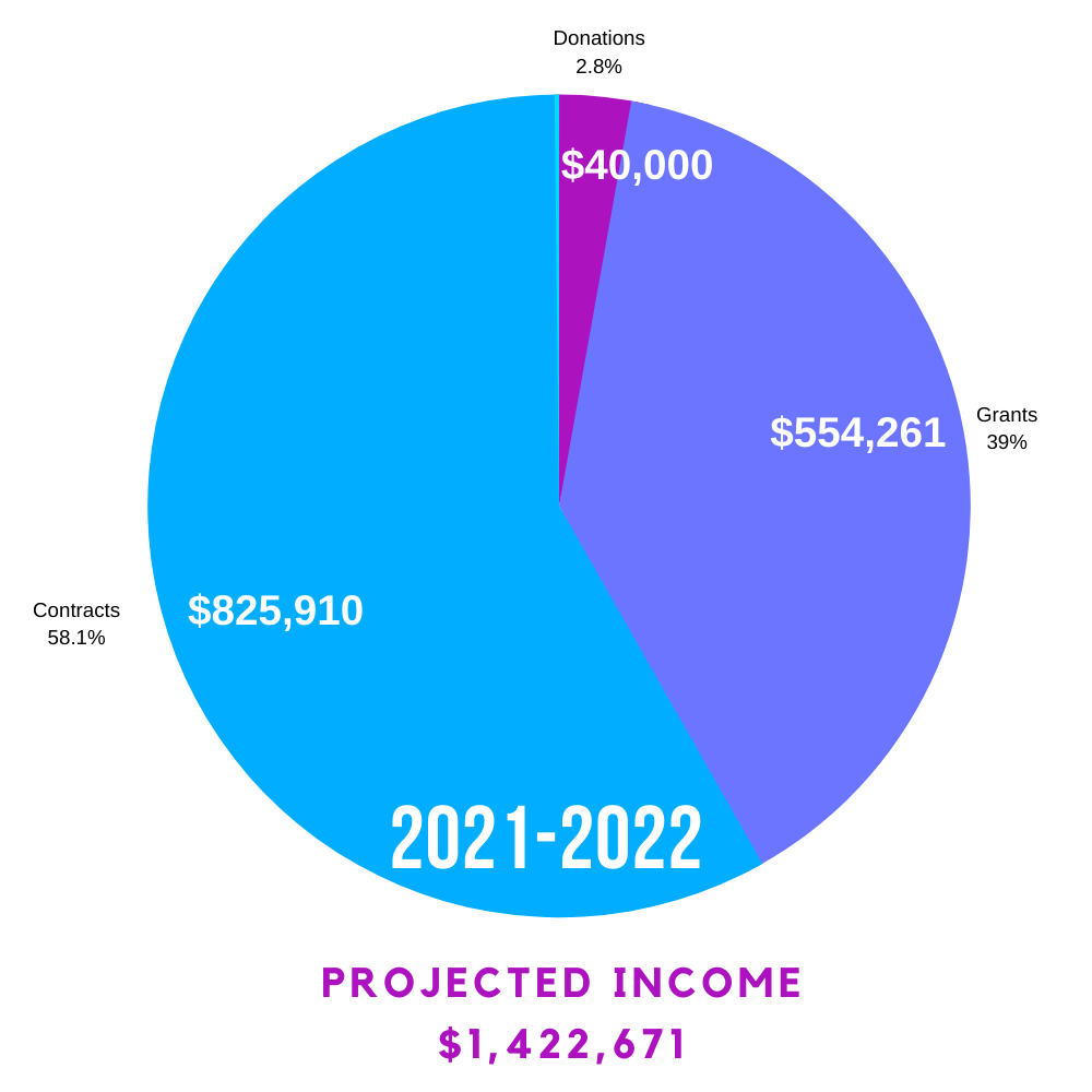 FRN graphic annual report budget 2021 (13)