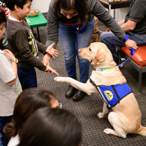 Service dog meeting young children
